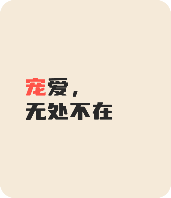今年会官网宠物，无处不在