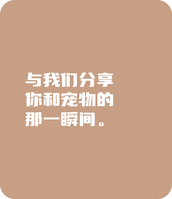 今年会官网宠物，无处不在